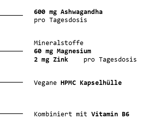 Ashwaganda + Magnesium + Zink + VitB6 - 400 Kapseln